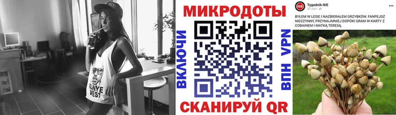 Псилоцибиновые грибы GOLDEN TEACHER  Купить закладки  Кизляр 