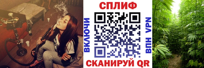 МАРИХУАНА планчик  Купить где  Кизляр 